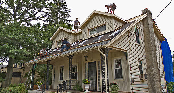 Best Storm Damage Roof Repair  in Port Republic, NJ